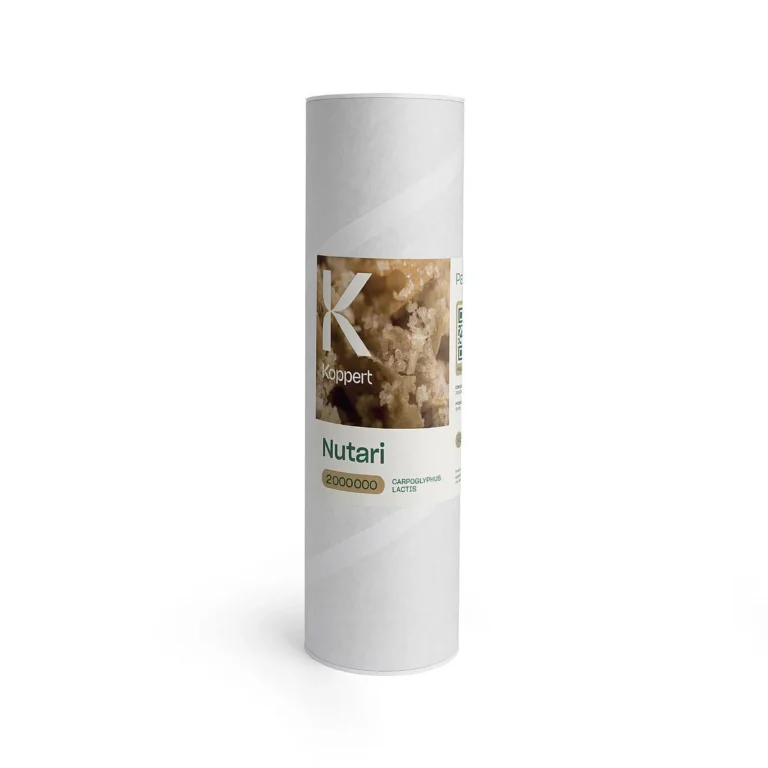 Nutari (Carpoglyphus lactis) botella 1L Koppert - Koppert