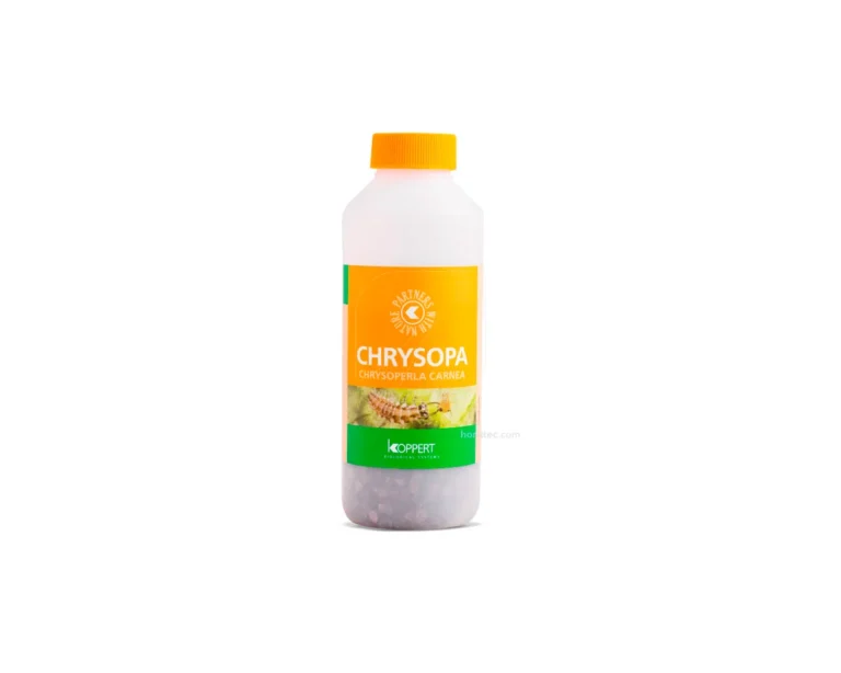 Chrysopa 1000 (pulgon) - Koppert