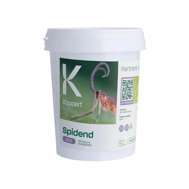 Spidend 250 cubo 550 ml - Koppert