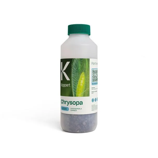Chrysopa - Koppert