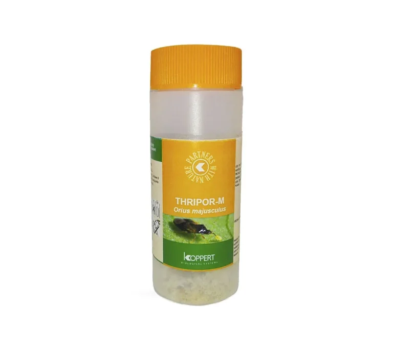 Thripor-M 100 ml Koppert - Koppert