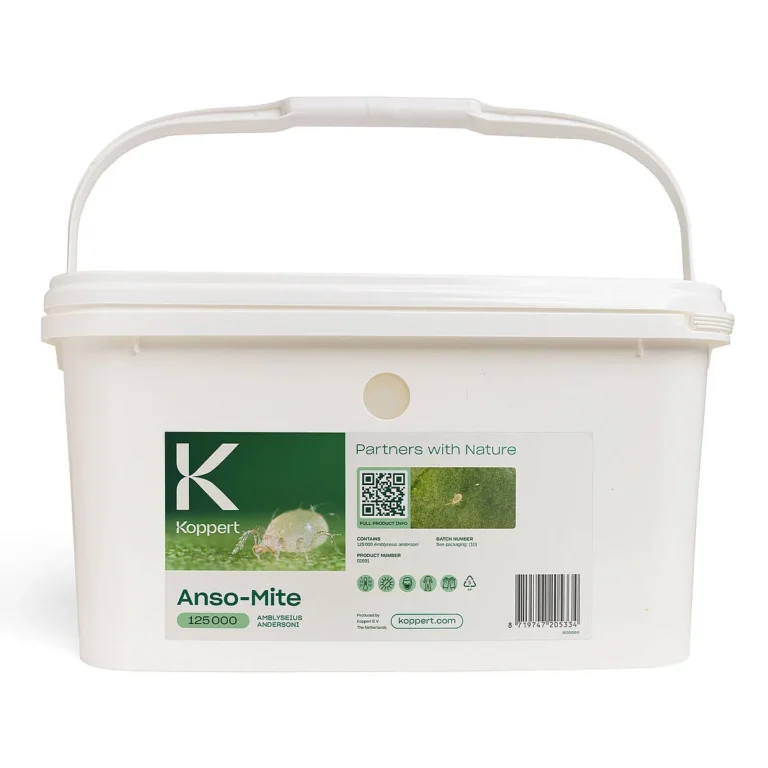 Anso-Mite 125000 Koppert - Koppert