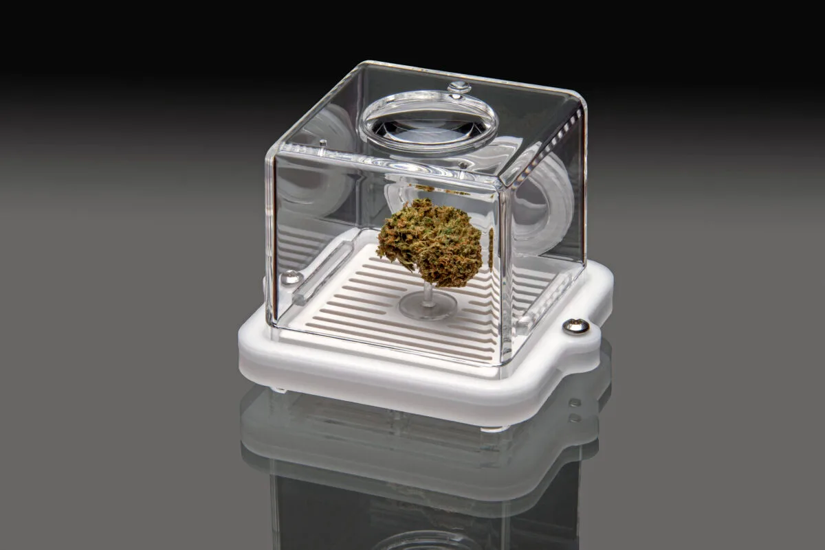 Puffer Pod white Bud Bar - Bud Bar
